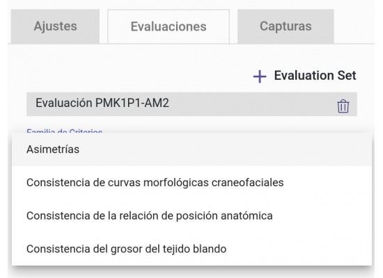 Selector de familias de criterios