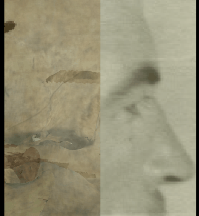 Example of a positive match in which the arcus supraciliaris is evaluated with the transparency and wipe tools, showing that the arcus supraciliaris follows the supraorbital margin in a consistent way. The wipe tool has been used to show a gradient from the zygomatic arch to the supraorbital margin showing how the contour of the arcus supraciliaris follows the supraorbital margin until the end